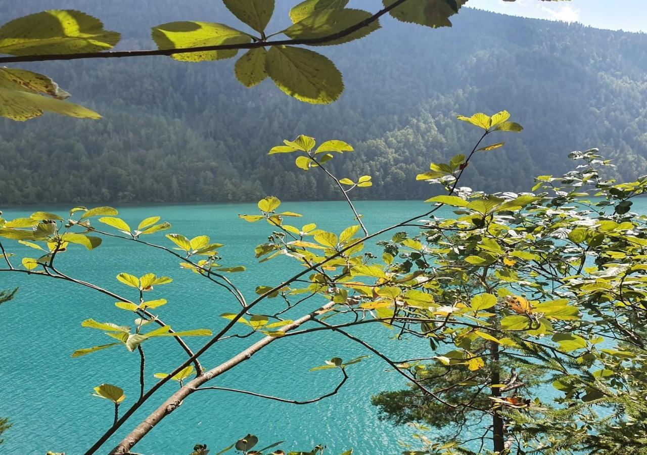 Haus Kraller-Urlaub Mit Seeblick Millstatt Buitenkant foto